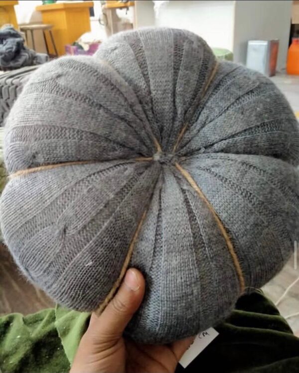 Round Pillow Cushion